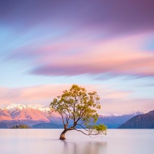 Meet your Posher, Markina